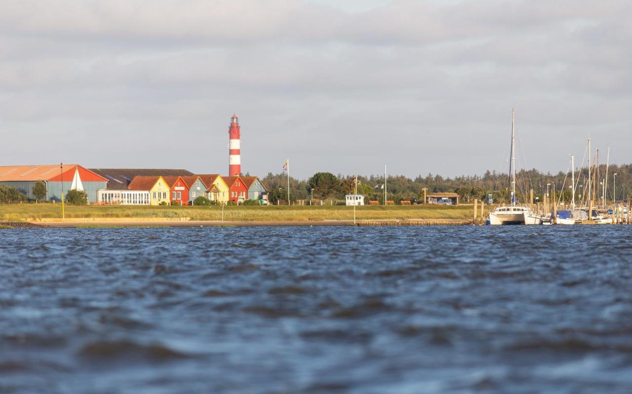 Kleine Perle Auf Amrum Norddorf Exteriör bild