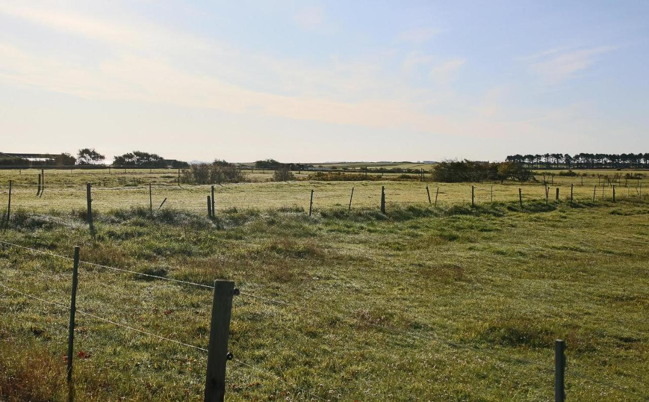 Kleine Perle Auf Amrum Norddorf Exteriör bild